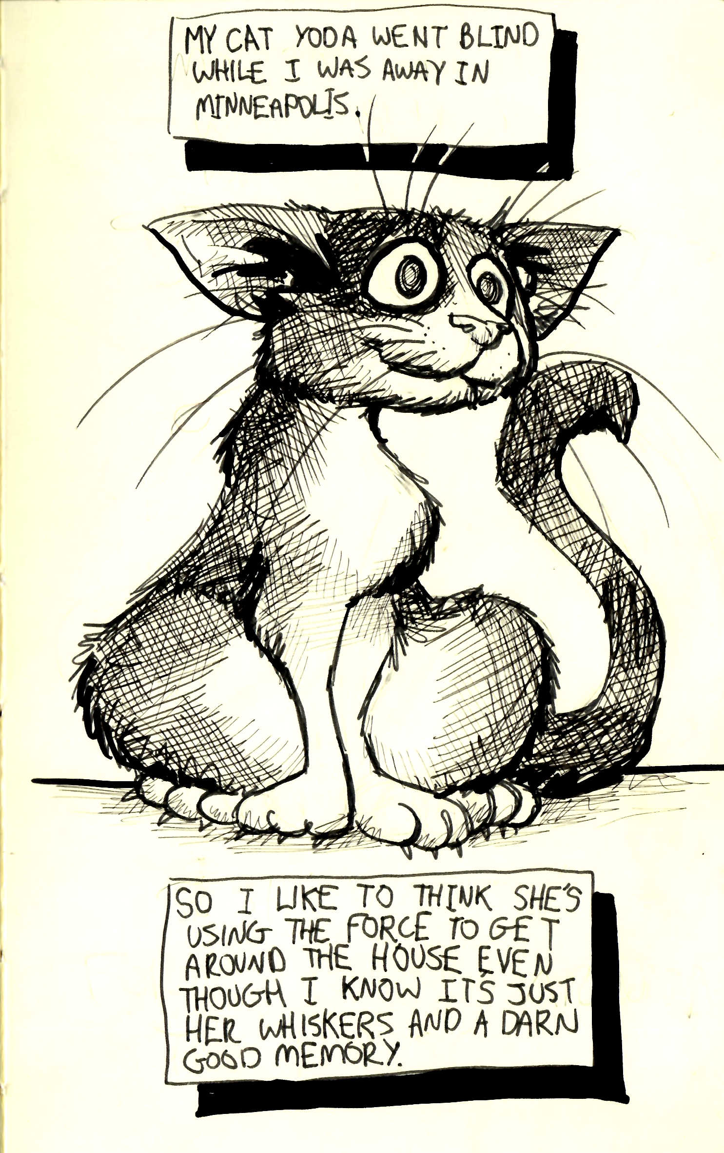Tiny Life of Glych #10 – My Cat Yoda